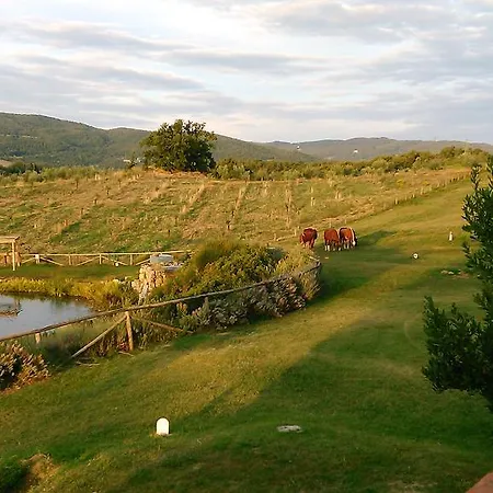 Fattoria San Paolo * Montecastelli Pisano