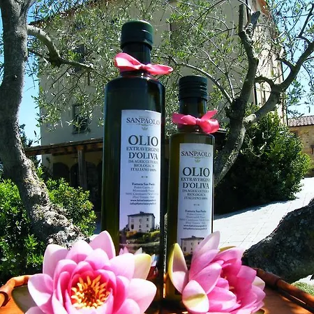 Fattoria San Paolo Lejlighed Montecastelli Pisano