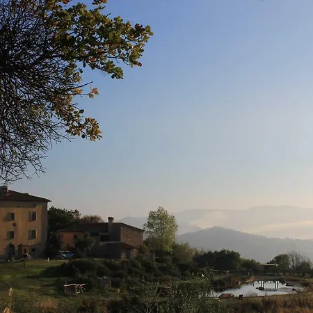 Fattoria San Paolo Lejlighed Montecastelli Pisano
