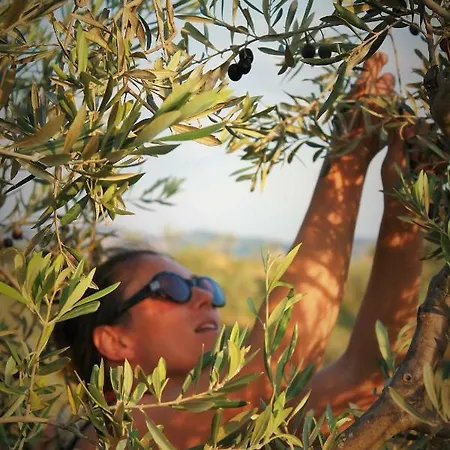 Fattoria San Paolo Lejlighed *